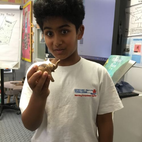 Wednesday 22nd October - Year 4