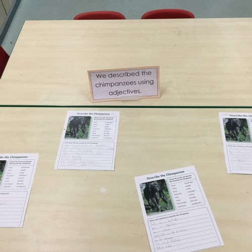 Friday 24th October - Class Showcase