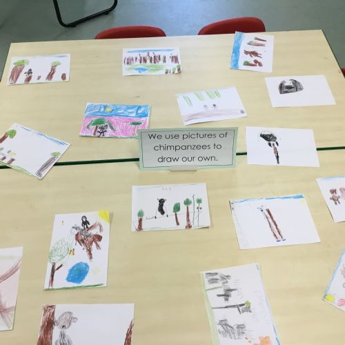 Friday 24th October - Class Showcase