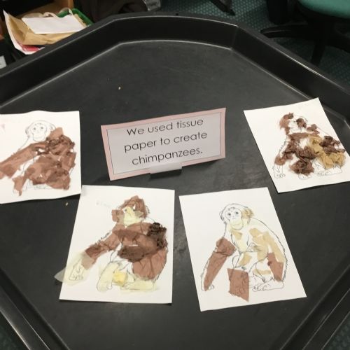 Friday 24th October - Class Showcase