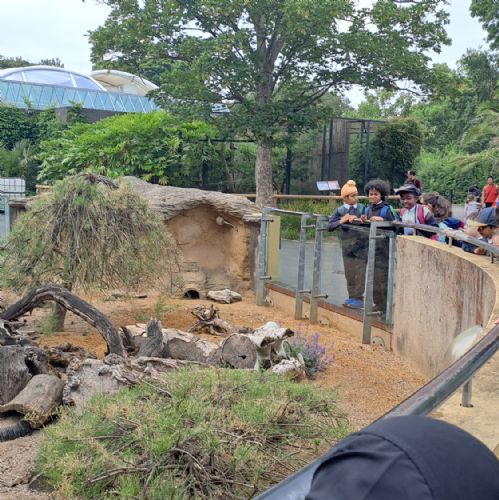 Year 4 Zoo Trip