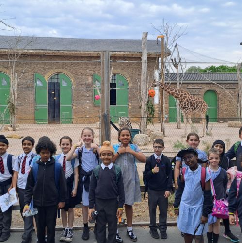 Year 4 Zoo Trip