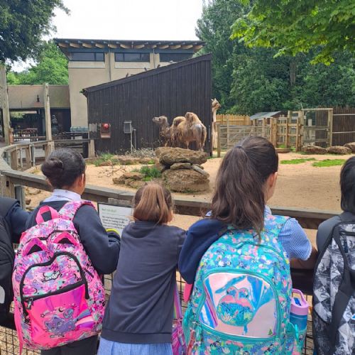 Year 4 Zoo Trip