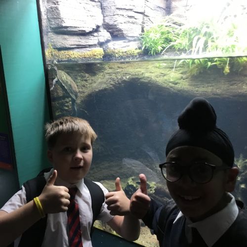 Year 4 Zoo Trip