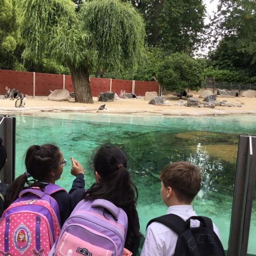 Year 4 Zoo Trip