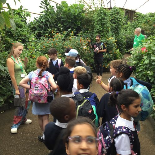Year 4 Zoo Trip