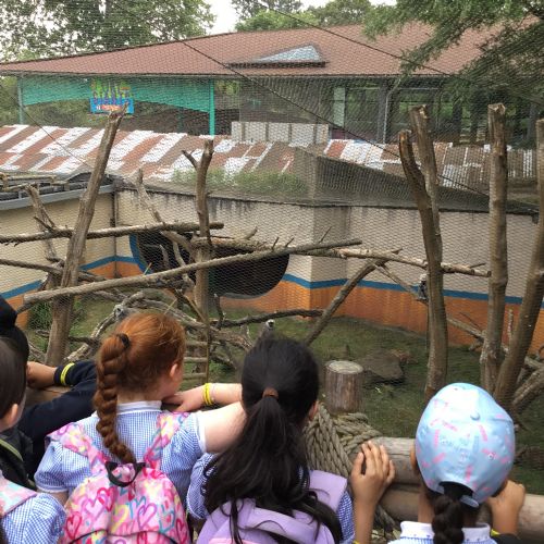 Year 4 Zoo Trip