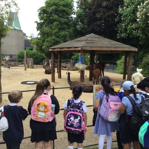 Year 4 Zoo Trip