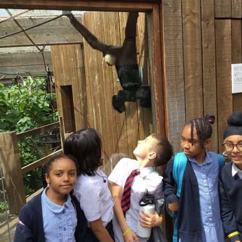 Year 4 Zoo Trip