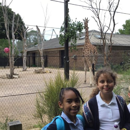 Year 4 Zoo Trip
