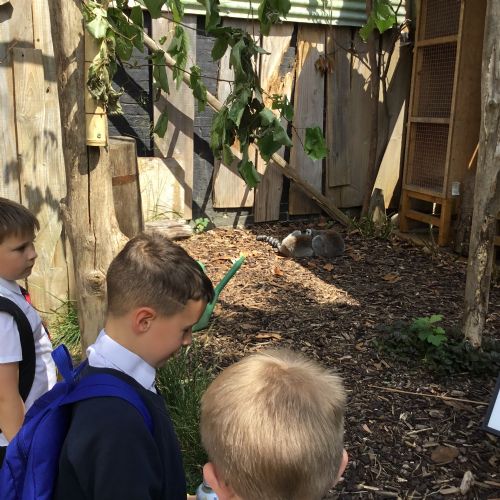 Year 4 Zoo Trip