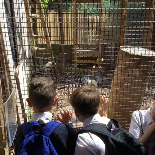 Year 4 Zoo Trip