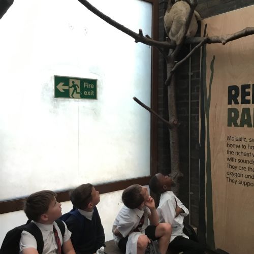 Year 4 Zoo Trip