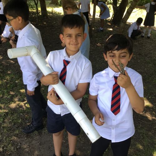 Year 2, investigating plants