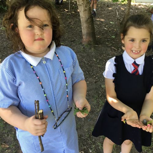 Year 2, investigating plants