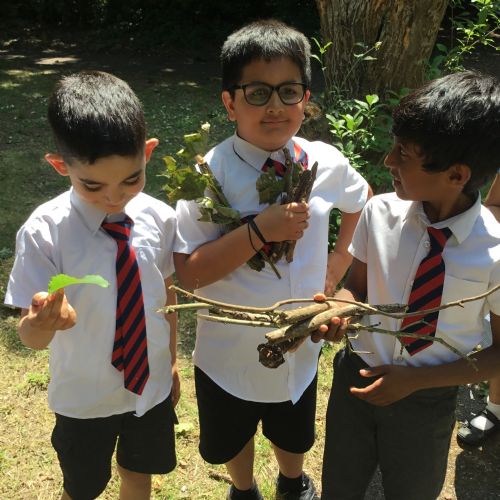 Year 2, investigating plants