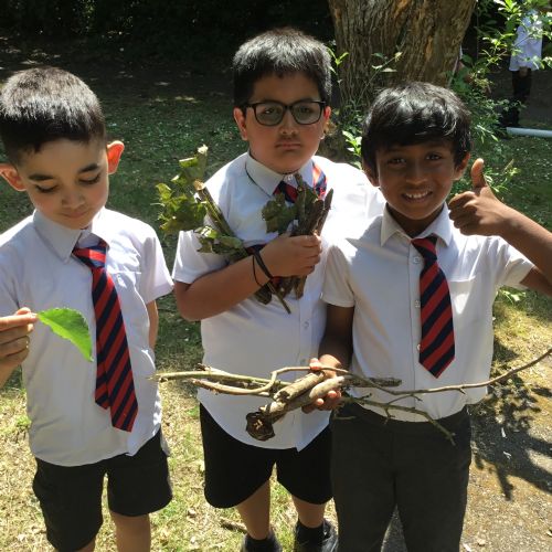 Year 2, investigating plants