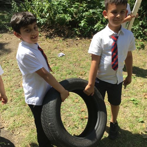 Year 2, investigating plants