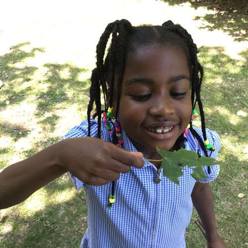 Year 2, investigating plants
