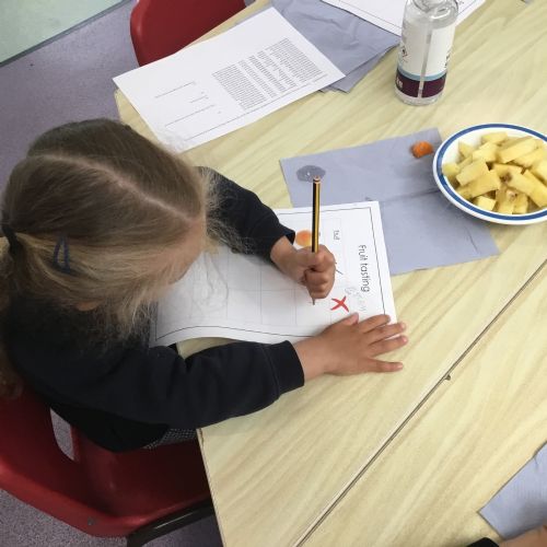 Nursery, describing fruits using our 5 senses