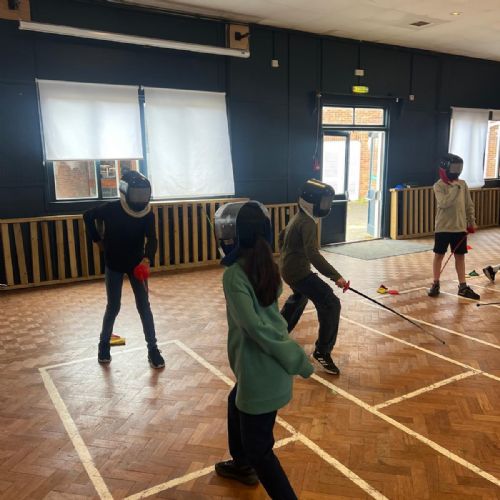 Fencing fun!