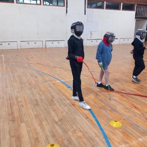 Fencing fun!