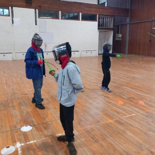Fencing fun!